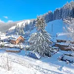 Chalet Drevenica Geplovo Nizna Boca